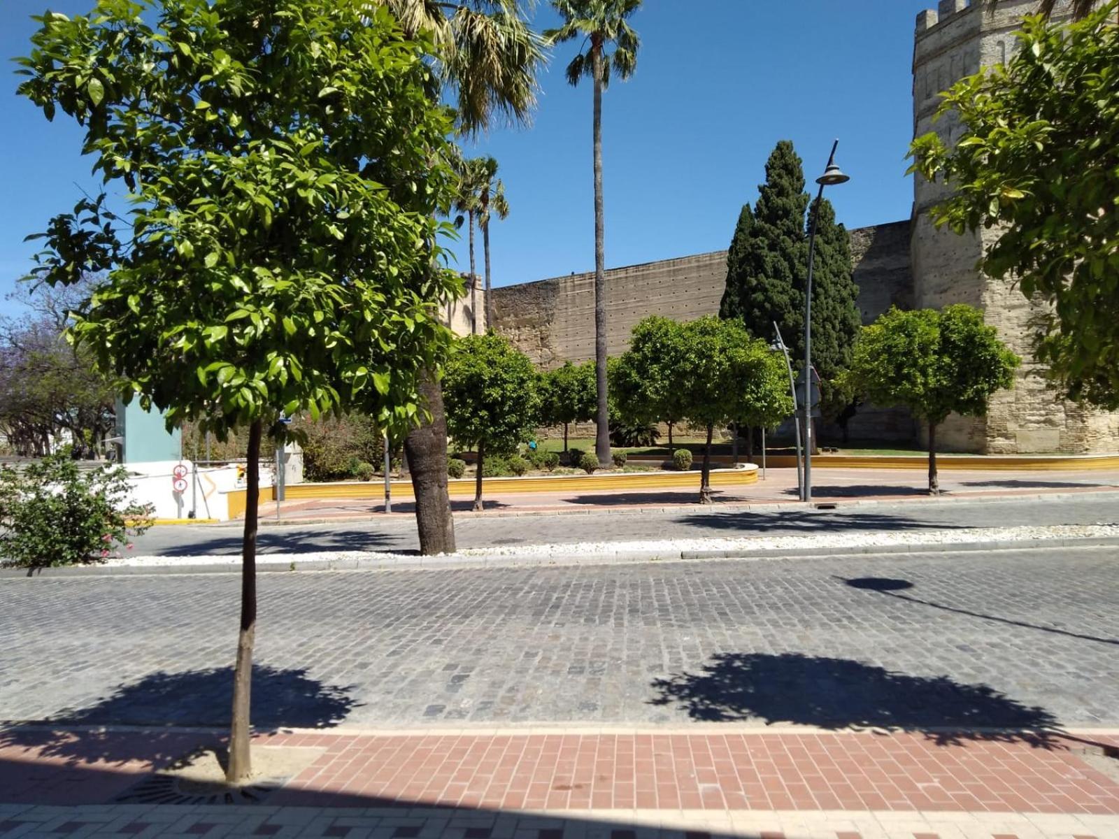 Appartamento Karisma Alcazar Jerez de la Frontera Esterno foto